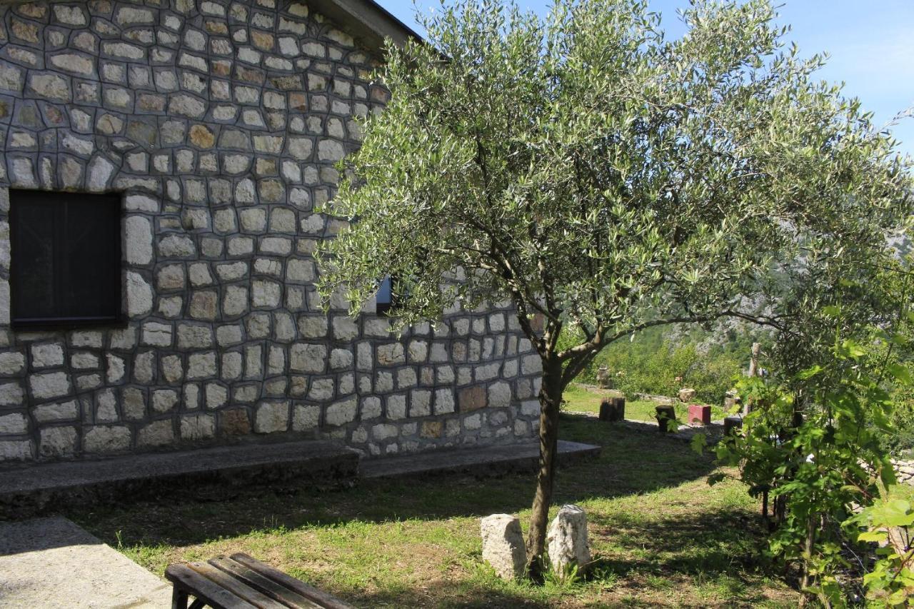 Rent House Orahovo Villa Virpazar Dış mekan fotoğraf